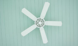 What Are the Benefits of Ceiling Fans?